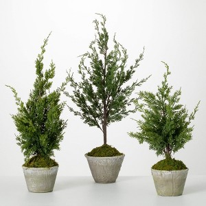 22"H, 26"H and 32"H Sullivans Faux Dwarf Cedar Tree - Set of 3, Green - 1 of 2