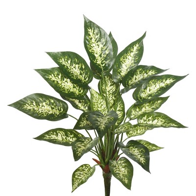 22" Artificial Dieffenbachia Exotica Bush White - Vickerman