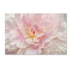 Trademark Fine Art -Cora Niele 'Pink Peony' Canvas Art - 2 of 3