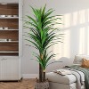 Wikineon Artificial Dracaena Tree 6ft-Tall Fake Plant with Black Planter-Faux Plants Indoor Tall Housewarming Gift,Tropical Yucca Silk Tree. - 3 of 4