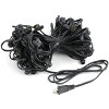 Novelty Lights Globe Outdoor String Lights with 100 Bulbs G30 Vintage Bulbs Black Wire 100 Feet - 3 of 4