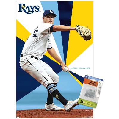 MLB Tampa Bay Rays - Logo 16 Wall Poster with Push Pins, 22.375 x 34 