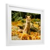 Stupell Industries Sleepy Fall Fox in Autumn Framed Print Under Glass, White, 23" x 17" - 2 of 4