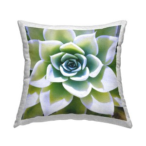 Stupell Industries Green Succulent Close Up Gardening, 18 x 18 - 1 of 3