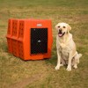 Dakota 283 Canine Rough and Tough Economy Pet Kennel, Heavy Duty Crate for Dogs and Cats with Ventilation Holes, X-Large, Orange - 4 of 4
