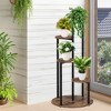 MAYEERTY 4-Tier Corner Plant Stand, Multiple Potted Plants Holder, Balcony Garden - 2 of 4