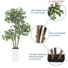 Home Decor 5 FT Ficus Tree Artificial w/ Tall White Planter, Fake Ficus Tree w/ 3 Natural Trunks & White-Edged Leaves, Tall Faux Floor Plant - 3 of 4