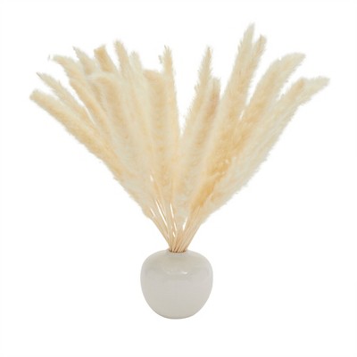 17-inch Beige Dried Pampas Grass for Rustic Farmhouse Decor