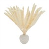 Juvale 30 Pack Dried White Pampas Grass for Vase, Wedding, Rustic-Style Farmhouse Decor, Boho-Themed Home Decor, 17 In - 4 of 4