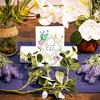 Sparkle and Bash 25 Pack Cactus Theme Table Number Cards for Weddings, Numbers 1-25, 4 x 6 inches, Gold Foil - 2 of 4