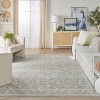 Nourison Desert Mirage Vintage Indoor Area Rug - 4 of 4