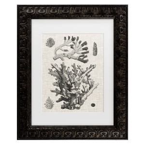 Trademark Fine Art - Vision Studio  Coral on Linen I Matted Framed Art - 1 of 4
