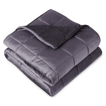 17 lb 60" x 80" Weighted Blanket Eggplant by Bare Home