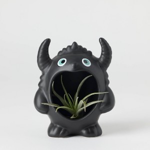 Halloween Night Sprites Live Houseplant - Good Little Garden™ - 1 of 4