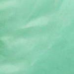 green tropical palm