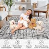 Regional carpet,grid carpet,floor carpet,modern indoor carpet for kitchen,bedroom and living room - 4 of 4