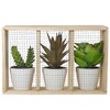 Northlight 10.75" Artificial Mixed Potted Succulents in Wooden Box - 4 of 4
