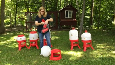 Heavy Duty Red and White 8 Gallon Poultry Waterer with Gravity-Fed Design