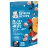 Gerber Baby Food Very Berry Blend Freeze-dried Melts Baby Snack - 1oz ...