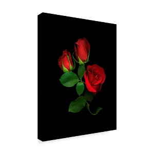 Trademark Fine Art -Susan S. Barmon 'Red Roses' Canvas Art - 1 of 3