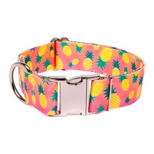Country Brook Petz HossFit Jr Wide Premium Dog Collar - Tasty Collection - 1 of 4
