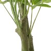 Gulches 63 Inch Artificial Lucky Money Tree Plants, Pre - Potted Plant, Ideal for Indoor Gardens, Living Rooms and Bedrooms - 3 of 4