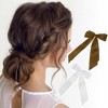 Unique Bargains Fashion Double Ribbon Hair Clips Hairdo Clip 2 Pcs - 3 of 4