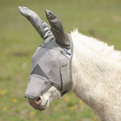 Cool Cashel Crusader Sun Fly Mask: Ultimate UV & Fly Protection for ...