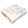 Warner Bros. Friends Joey Doesnâ€™T Share Silk Touch Throw Blanket 50x60 Inches - 3 of 4