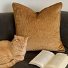 TopComfy Support Pillow Homey Cozy Velvet Throw Pillow with Luxe Mocha Shine for Elegant Decor, Brown, 17"*17"*10" - 4 of 4
