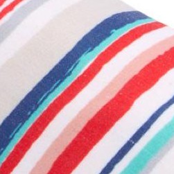 baja stripe