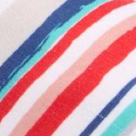 baja stripe