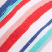 baja stripe