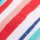 baja stripe