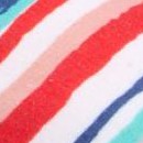 baja stripe