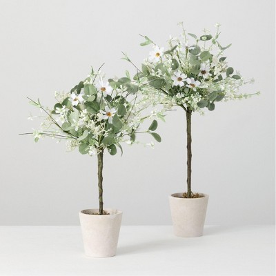 Sullivans Set of 2 Artificial Daisy Eucalyptus Topiary 22"H & 19"H Green