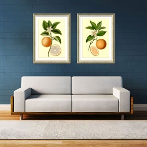FONTOI 2pcs Fruit Canvas Wall Art, Botanical Wall Decor Living Room, Dining Room Decor Framed Wall Art for Hallway, Orange 18"* 24"*1.2" - 1 of 4