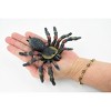 Collectible Wildlife Gifts | Spider, Tarantula,  Red Knee, Museum Quality, Hand Painted, Rubber Arachnida,  Toy Model, Gift,  5"   CH193 BB116 - 3 of 4