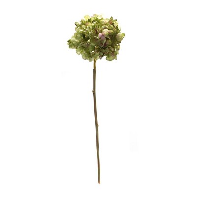 Melrose Green Hydrangea Flower Stems with Foliage Accents (Set of 6)