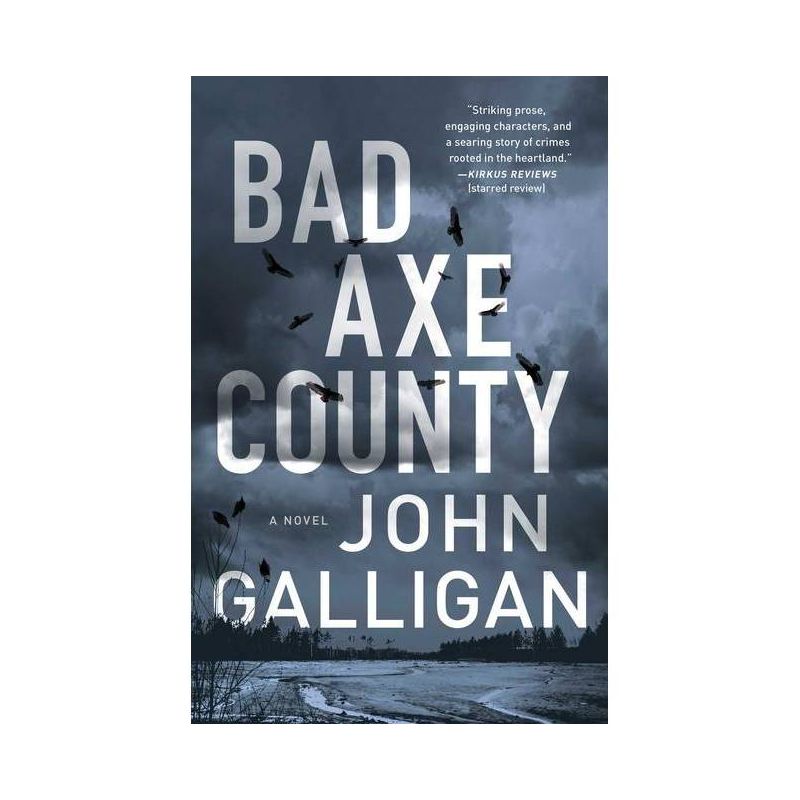 Bad Axe County - (A Bad Axe County Novel) by  John Galligan (Paperback), 1 of 2