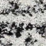 black, light gray, white, gray