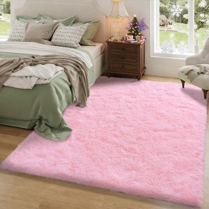 Area Rugs for Living Room Bedroom, Non-Slip Fluffy Soft Shag Carpet for Kids Home Dorm Decor - 1 of 4