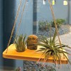 Air Plant Stand and Swing Collection - 2 of 4