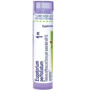 Eupatorium Perfoliatum 1M by Boiron Homeopathic Single Medicine For Pain  -  80 Pellet - 1 of 3