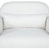 Sapphtopaz Accent Chair Teddy Fleece Comfortable Sofa Chair Lounge Single Armchair with Pillow for Living Room, Bedroom, Office, Small Room - 4 of 4