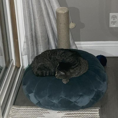 Guest review image 1 of 2, zoom in