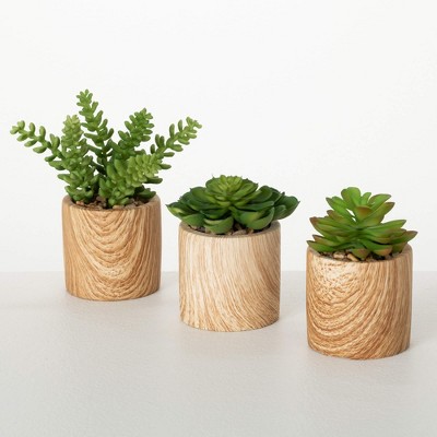 Sullivans Artificial 7", 5" & 4.5" Mini Potted Succulent Set of 3