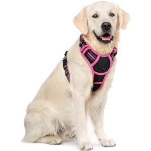 rabbitgoo Dog Harness No Pull with 2 Leash Clips, , Reflective Oxford No Choke Pet Vest with Easy Control Handle for Large Dogs, Black & Hot Pink, XL - 1 of 1
