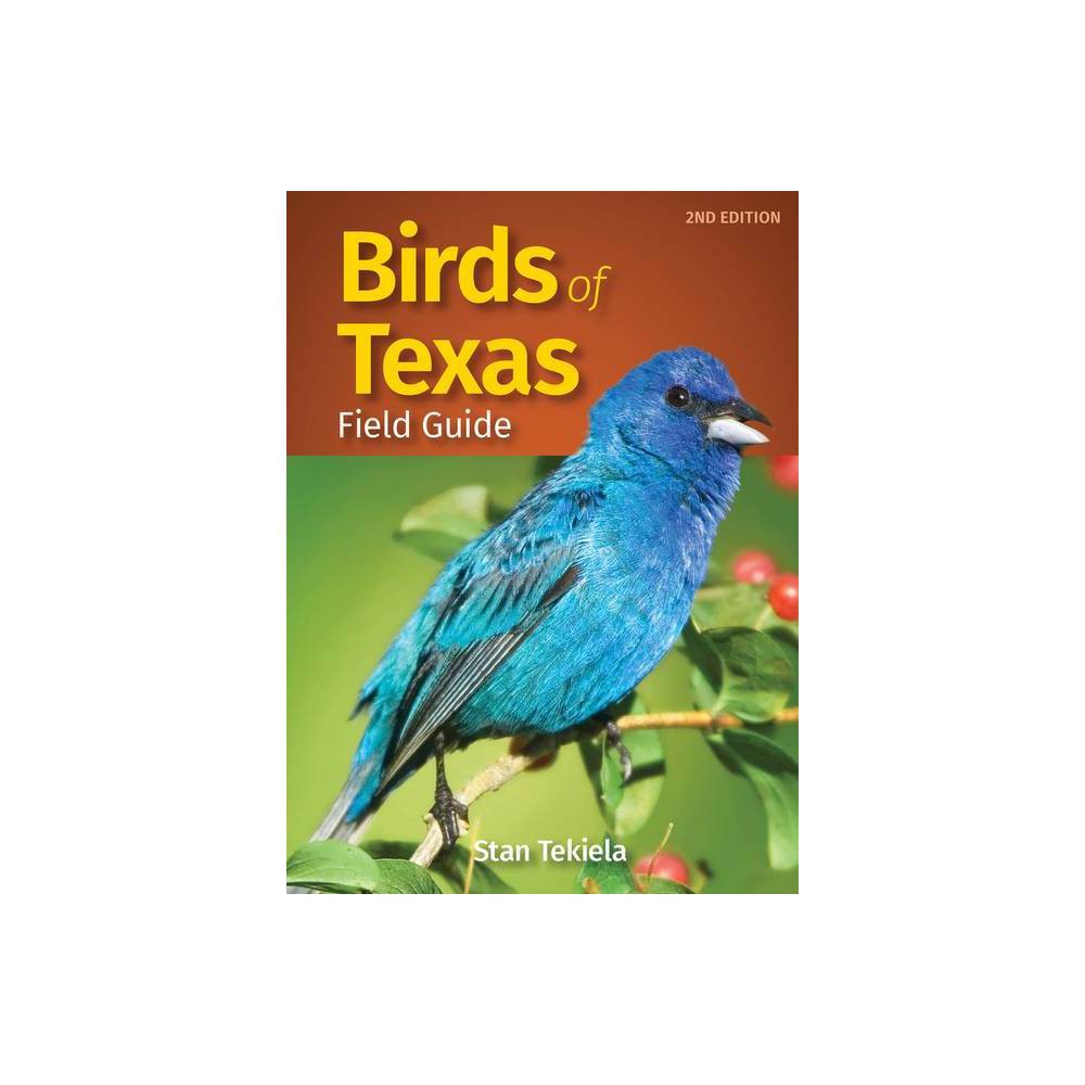 ISBN 9781647550622 product image for Birds of Texas Field Guide - (Bird Identification Guides) 2nd Edition by Stan Te | upcitemdb.com