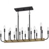Quoizel Lighting Coda 16 - Light Island Pendant Light in  Matte Black - 3 of 4